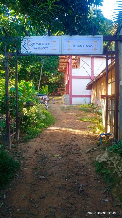 Forest Inn El Nido Exterior photo