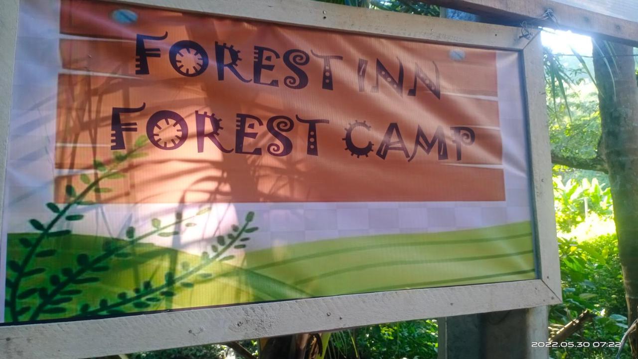 Forest Inn El Nido Exterior photo